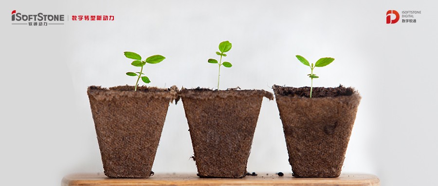 ���������������� ����ת��������ͯ����������������ڶ����ٴ������������